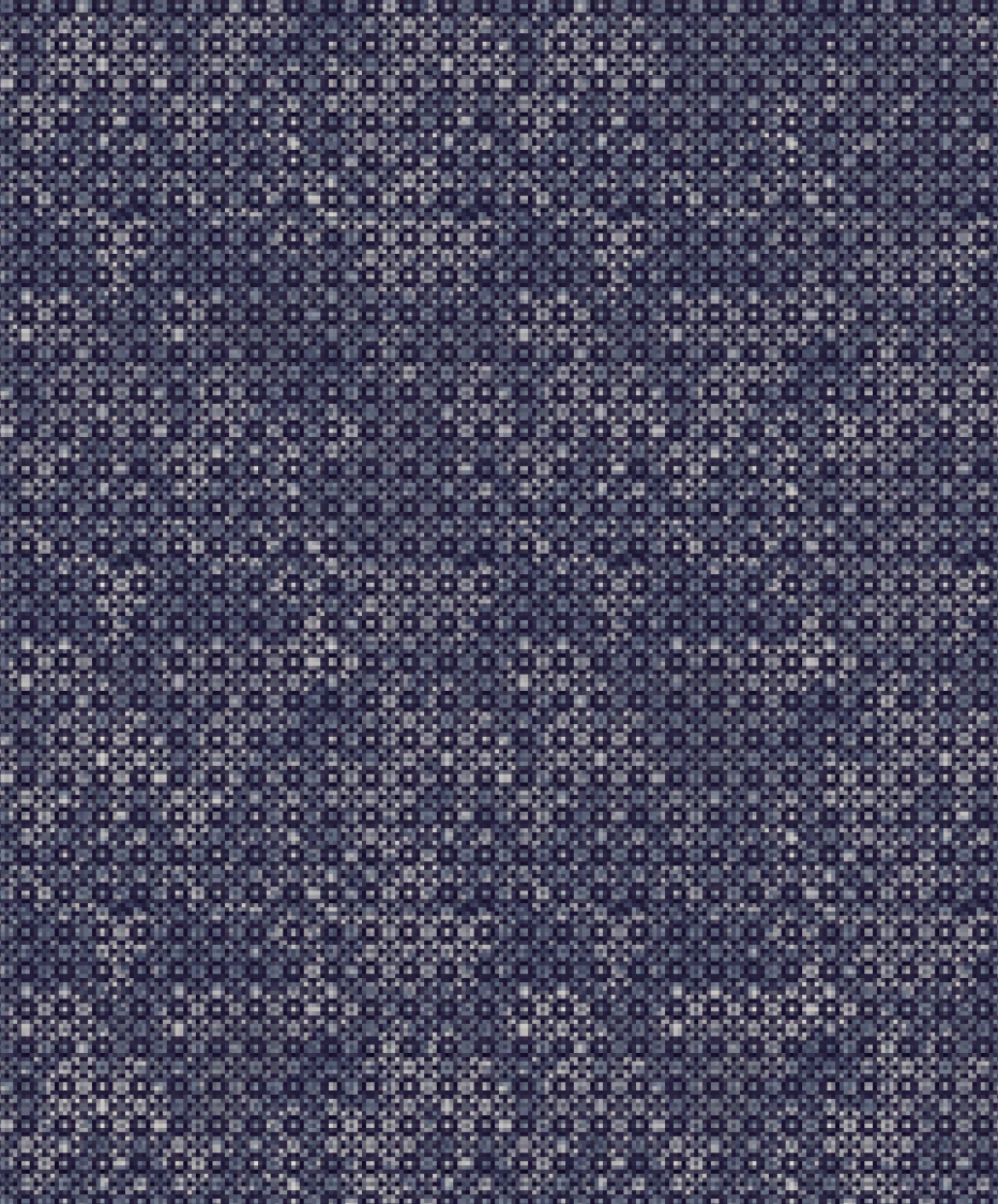 1S0829 SLBG - Image 2