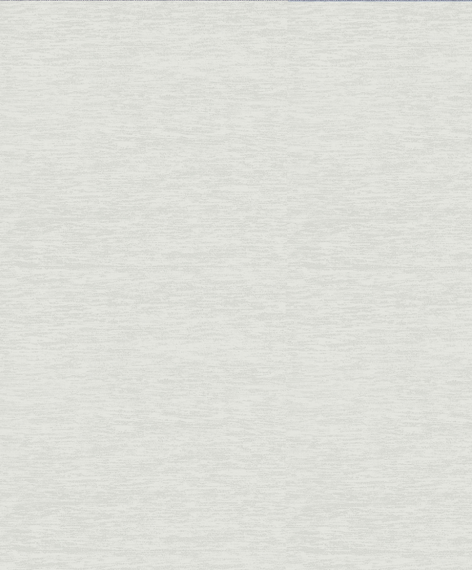 1S0060 SLOP - Image 2